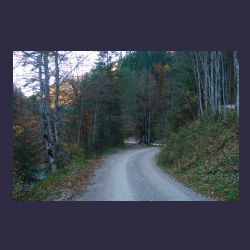 2012-10-20_Fall_AQUILA (273)b.JPG